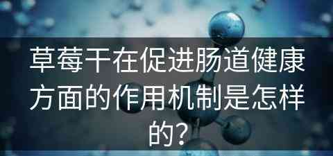 草莓干在促进肠道健康方面的作用机制是怎样的？